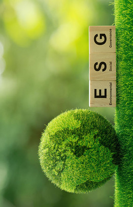ESG - Regeln befolgen oder nachhaltige Wirtschaft gestalten?